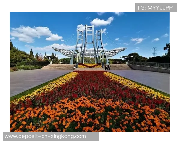 闵行体育公园足球场周边最佳休闲活动推荐与场馆设施介绍